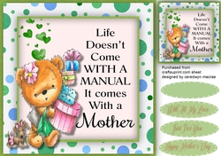 Bear Born To Shop ,