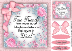 True Friends  are Never Apart 3