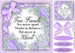 True Friends are Never Apart 4