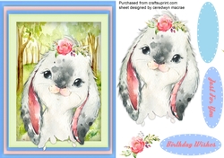 Cute Little Rabbit