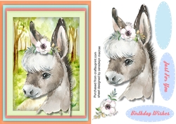 Cute Little Donkey