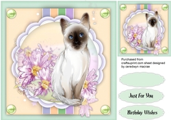 Beautiful Siamese and Lilac Flowers