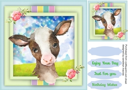 Beautiful Little Calf