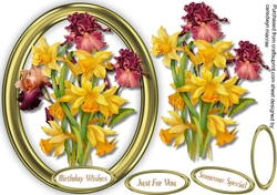 Beautiful Daffs and Bearded Irises
