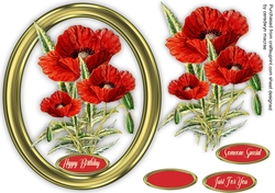 Beautiful Poppies  in a Gold Frame 