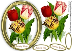 Beautiful Tulips in a Gold Frame