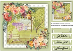 Beautiful Country Cottage and Pink  Roses 