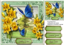 Beautiful Blue Butterflies and Daffs