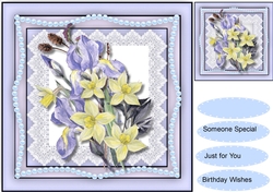 Beautiful Irises and Daffs 