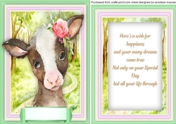 Baby Calf , With Verse