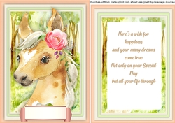 Baby Foal , With Verse