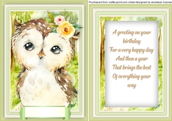 Baby Owl , With Verse 