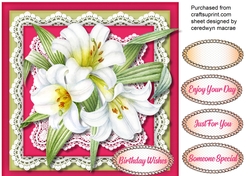 Beautiful White Lillys and Lace