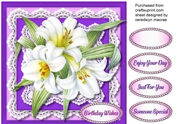 Beautiful White Lillys and Lace 2