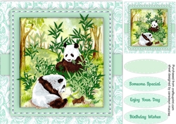 Pandas in the Bamboo 