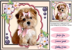 Lovely Pooch With Pink Bows