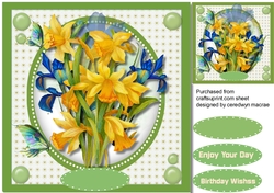 Beautifl Iris and Daffs