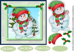 Cheeky Little Snowman Snowman