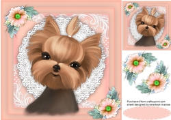 Yorkie in a Lace Frame 2