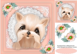Yorkie in a Lace Frame 3