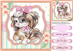 A Purrfect Pooch