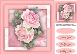 Stunning Pink French Roses