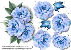 Beautiful Blue Cu tout Roses
