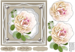 Cream Rose Delight