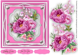 Pink Peony Rose Delight