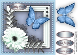 Daisy and Butterfly 2
