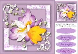Beautiful Lilac Crocus