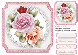 Beautiful French Roses