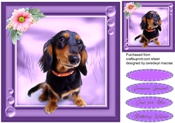 Look at Me Im Georgeous