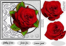 Beautiful Red Rose Topper