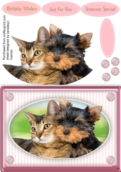 Beautiful Furry Friends 3