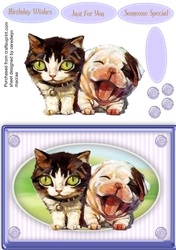 Beautiful Furry Friends  4