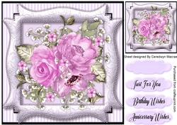 Stunning Lilac Wild Roses
