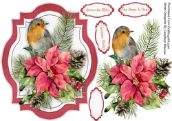 Beautiful Robin With Cones