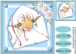 Mouse In a Envelope