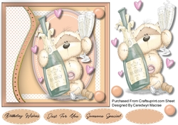  Special Occasions 2