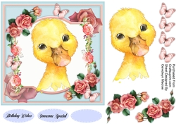 Adorable Duck 