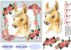 Adorable Foal