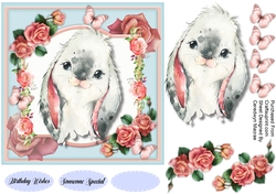 Adorable Rabbit