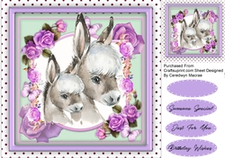 Together Forever , Donkey