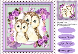 Together Forever , Owl