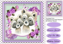 Together Forever , Raccoon 