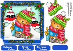 Woolly Ted