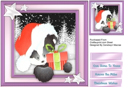 Badgers Christmas Hat