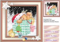 Teds Christmas Shopping