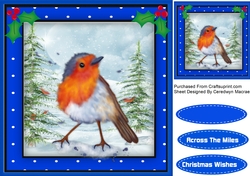 Robin In The Snow